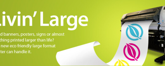 Living Large banner